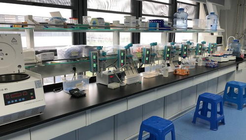 早篩創新與科技融合，天浚元生生物獲國高生物戰投，領跑教育科技軟件研發新賽道